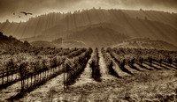Stairways to Heaven_sepia