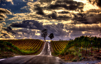 Road To Inspiration