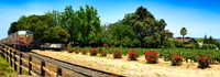 V. Sattui Summer Train_pan