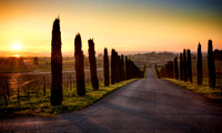 Jamieson Ranch Driveway 2