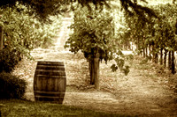 One Andretti Barrel