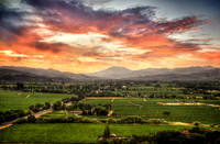 Napa Valley Sunset Burst