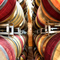 Peju Barrel Perspective