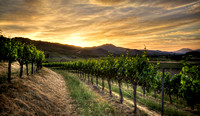Chandon Summer Glow
