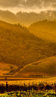 French Laundry Vista_vert