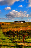 Domain Carneros_vert