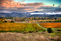 Classic Yountville