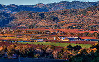 Late Fall Napa Valley