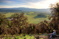 Gamble Western Vista