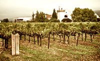 Groth Winery Morning