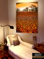Amongst The Silver Oaks_metal print