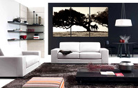 horse whisperer_living room