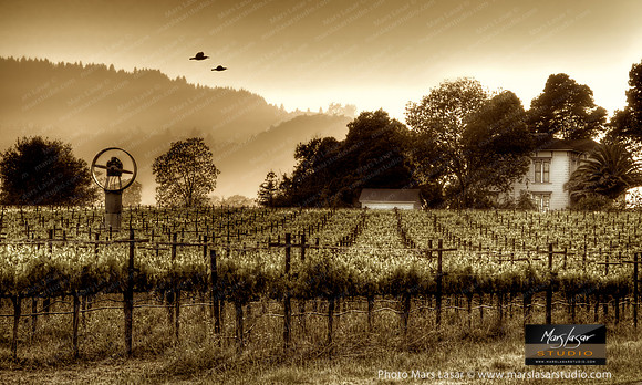 Washington Sunet_sepia