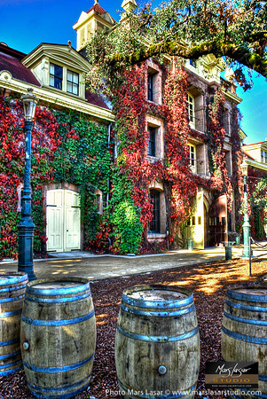 Inglenook Sunny Fall_vert