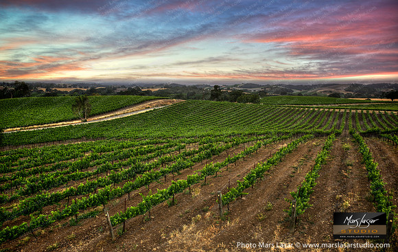 Paso Robles Gentle Summer