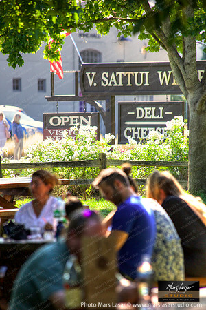 Sattui Picnic with Sign_vert