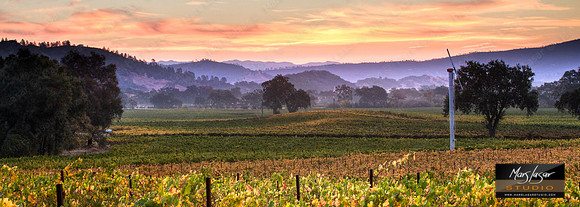 Persephone Sunrise 2_pan