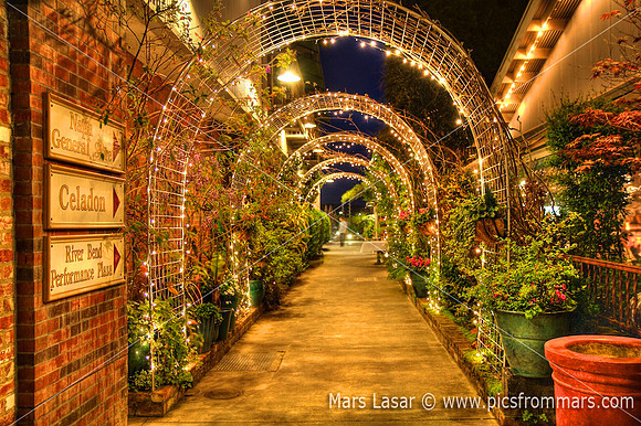 Celadon Pathway_nite 1