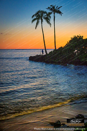 Serene Palm Shores_vert