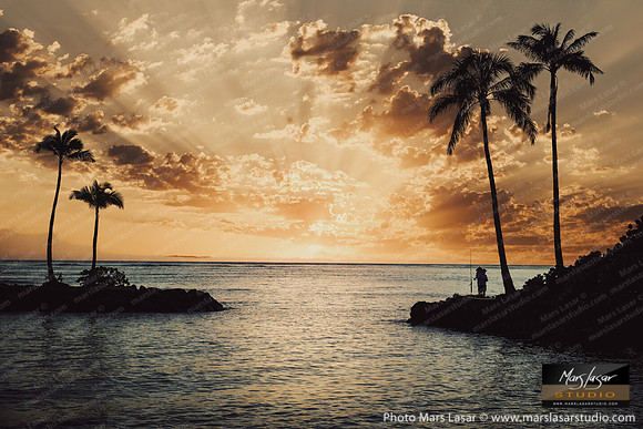 Serene Palm Shores-2