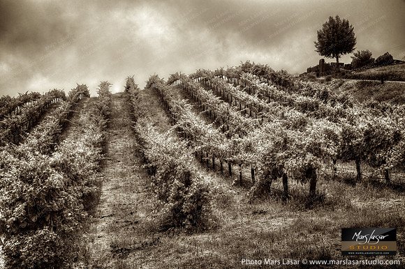 Paso Climb_sepia