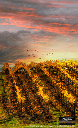 Reach for the Sunset