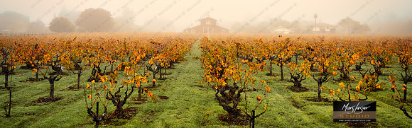 Coombsville frosty morning