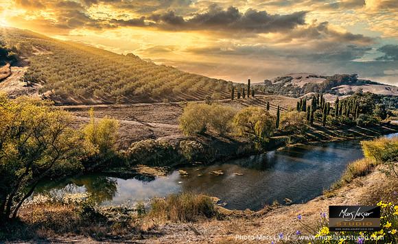 Mcevoy Ranch Vista 1