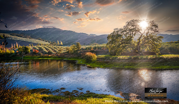 Mcevoy Ranch Vista 2