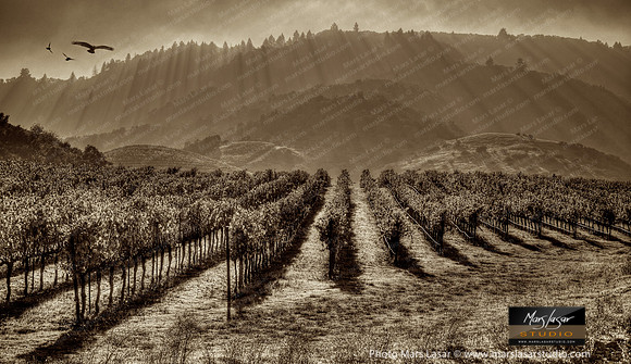 Stairways to Heaven_sepia