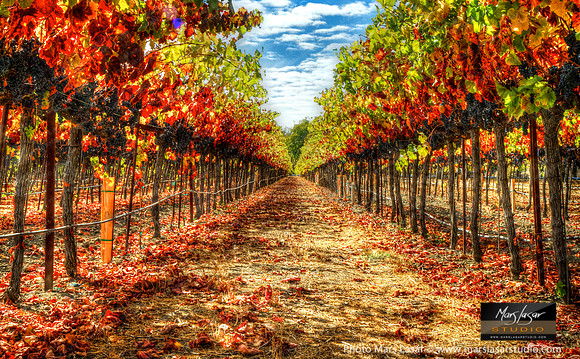 Trefethen Perspective