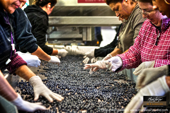 Only The Best Get Through