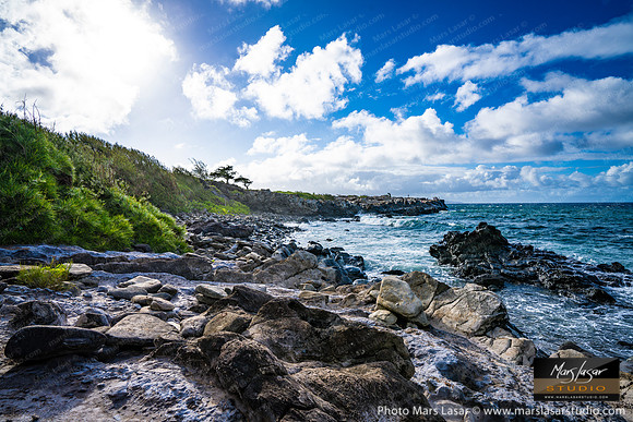 Sunny Hawaiian Coastline