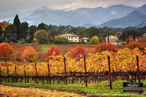 Wine Country Living