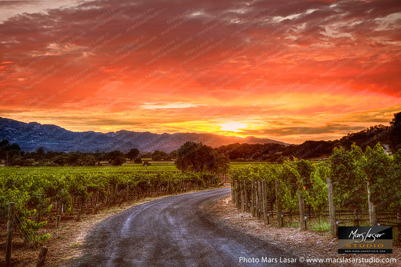 Warm Summer Sunset
