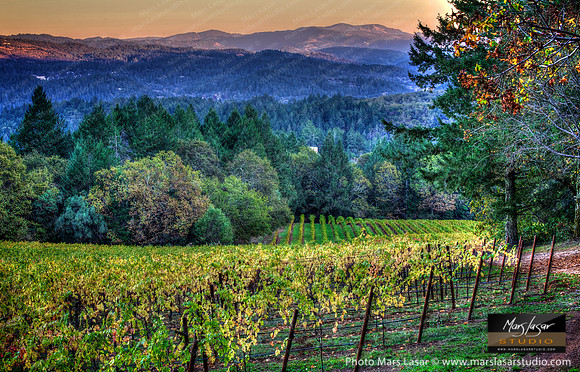 Schramsberg Vista Twilight