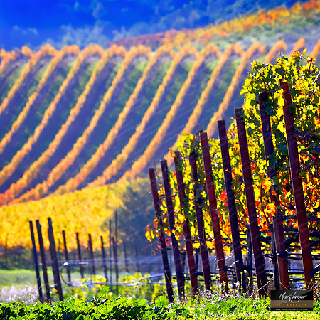 Fall In The Valley_sq