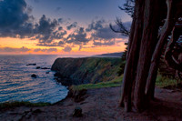 Californian Coastal Dreamer