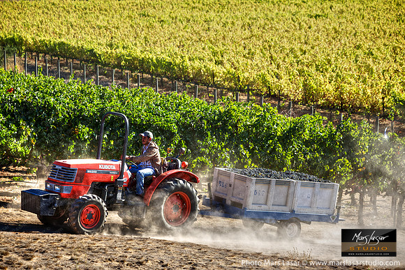 Picked And Ready To Go