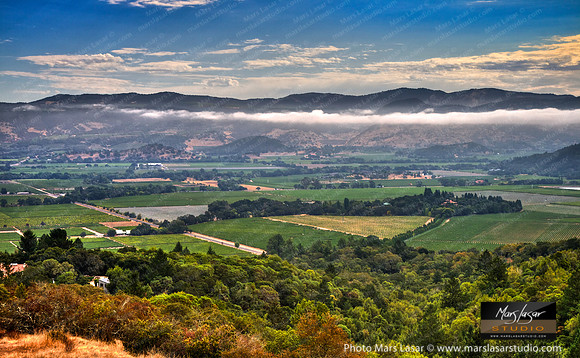 Napa Valley Vist_pan