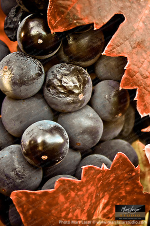 Heart Of Napa_sepia vert