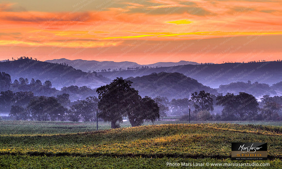 Morning Symphony