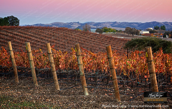 Paso Wine Country