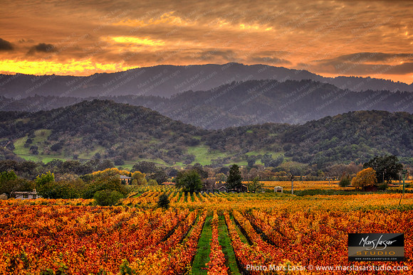 Classic Napa Valley 2