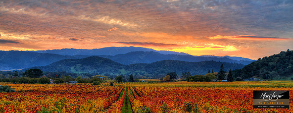 Classic Napa Valley_pan