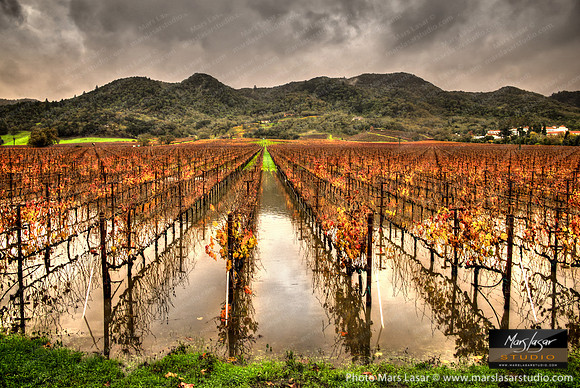 The Last of The Fall