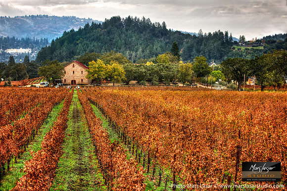 Ehlers Fall Perspective