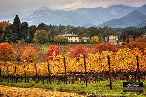 Wine Country Living