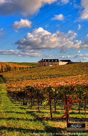 Domain Carneros_vert