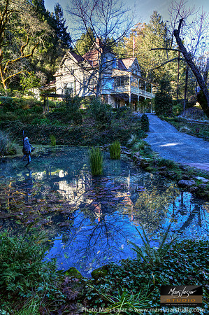Schramsberg Pond Winter_vert